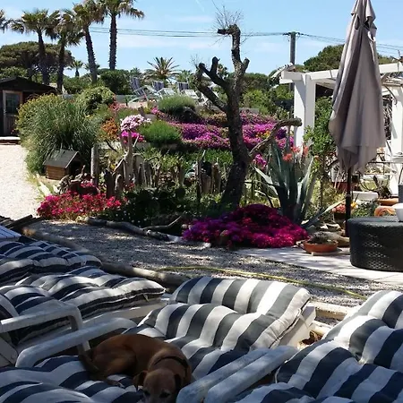 Villa St Tropez Pieds Dans L'eau Pampelonne *